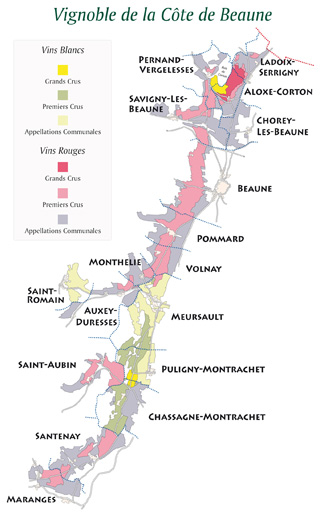 Corton Grand Cru Corton Grand Cru