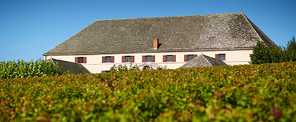 Historic Winery - Maison Louis Latour
