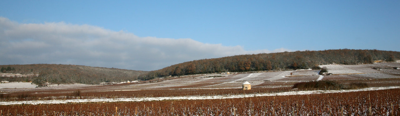 Savigny-les-Beaune