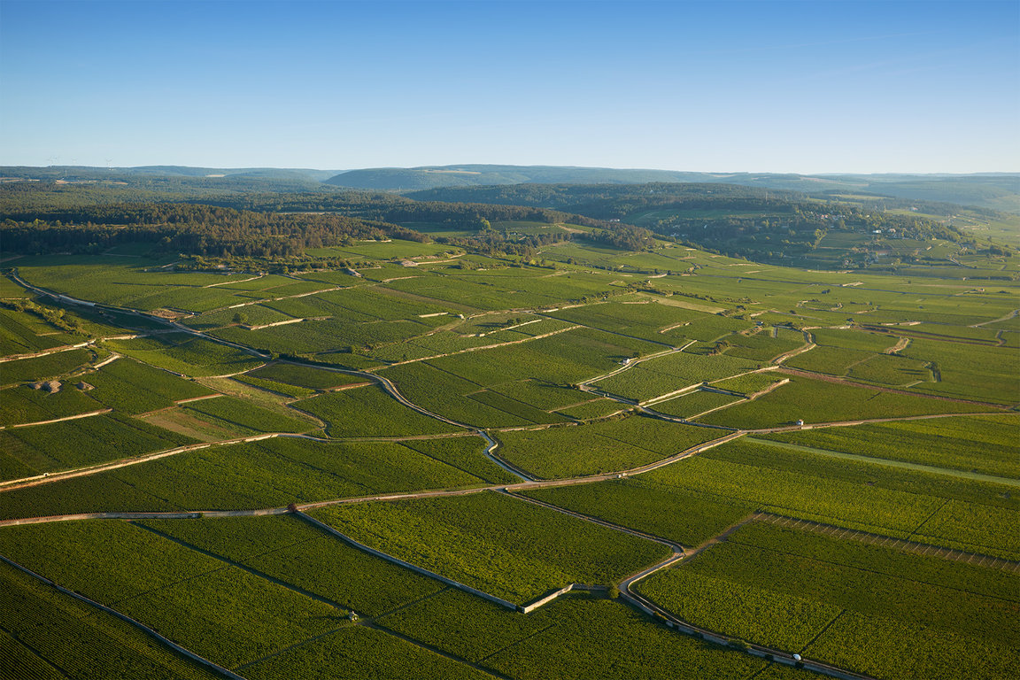 Beaune & Pommard