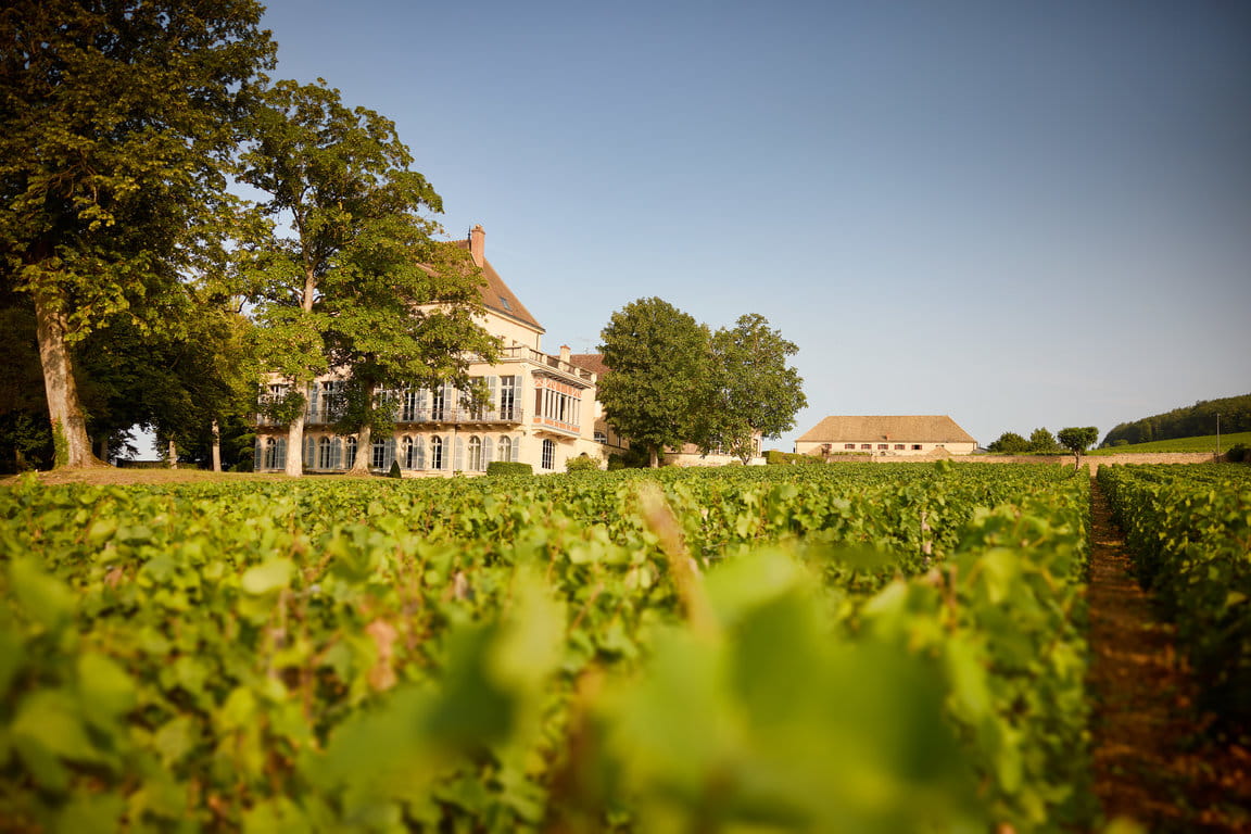 Château Corton Grancey