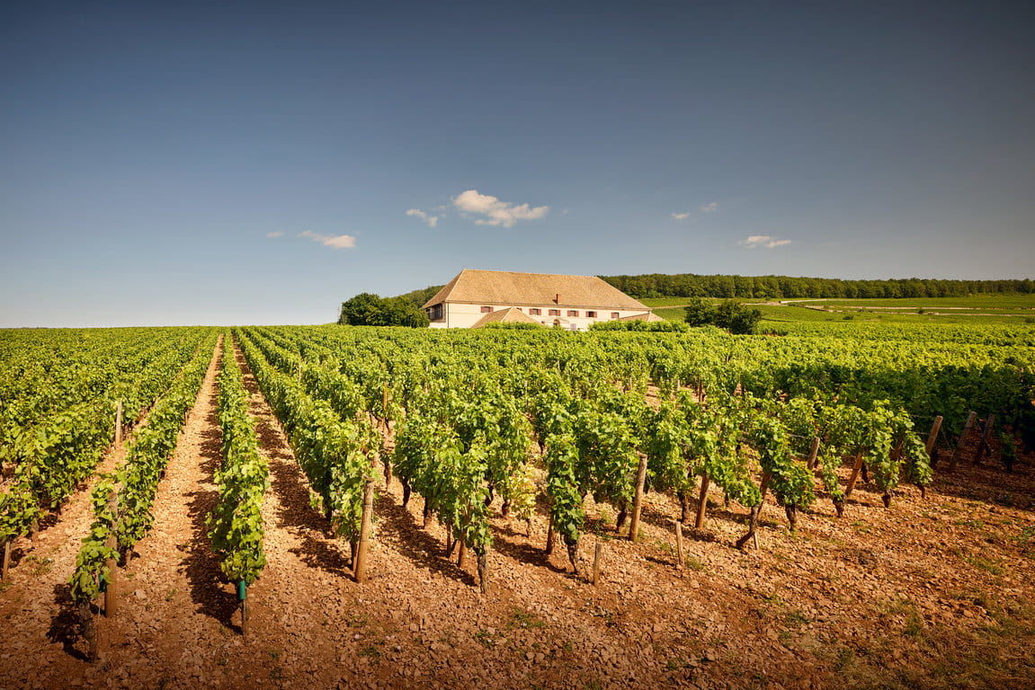 Corton Grancey Winery