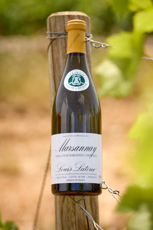 Marsannay White