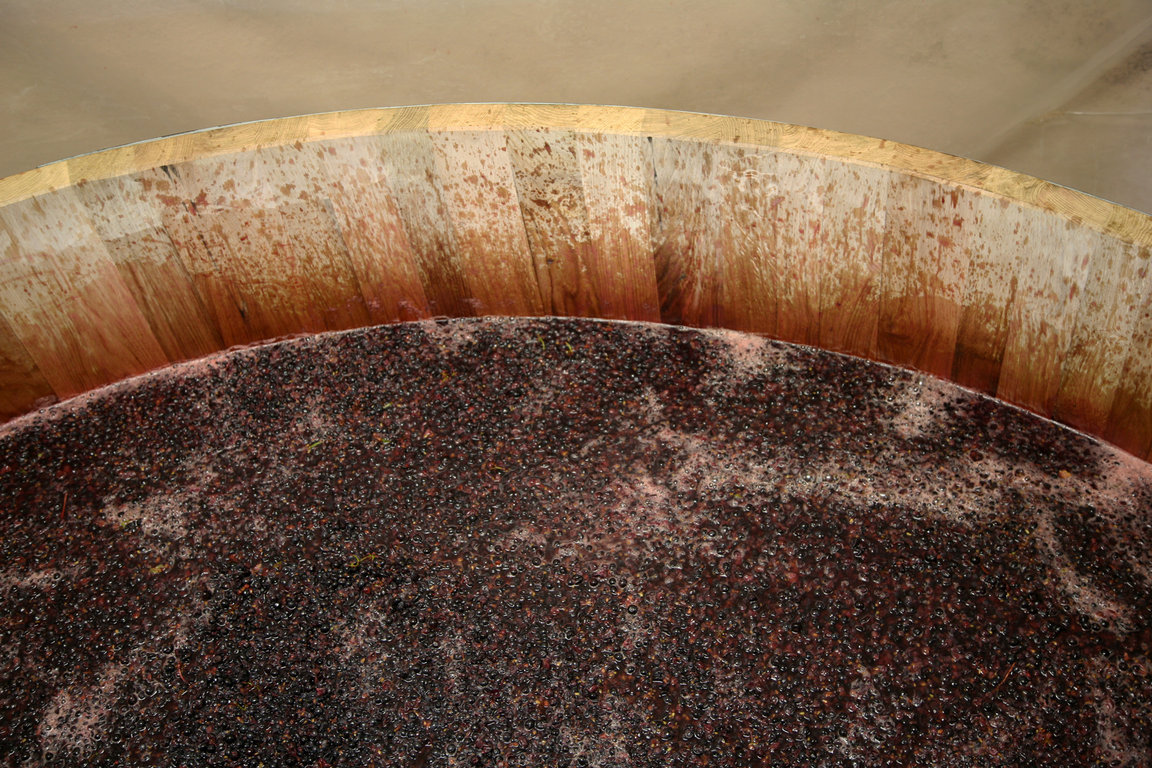 Vinification