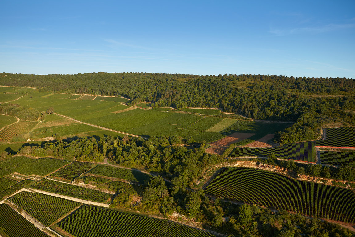 Meursault Blagny