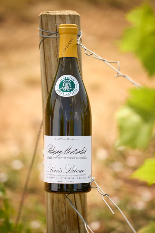 Puligny-Montrachet